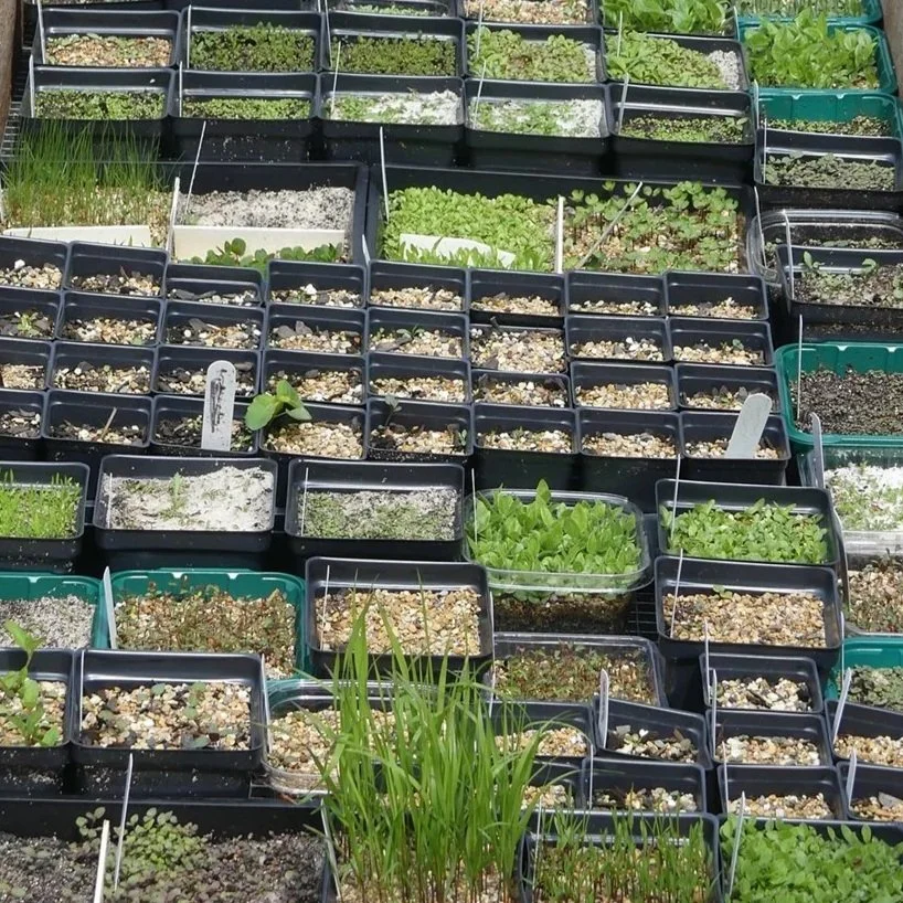 Indiana Native Plant Society