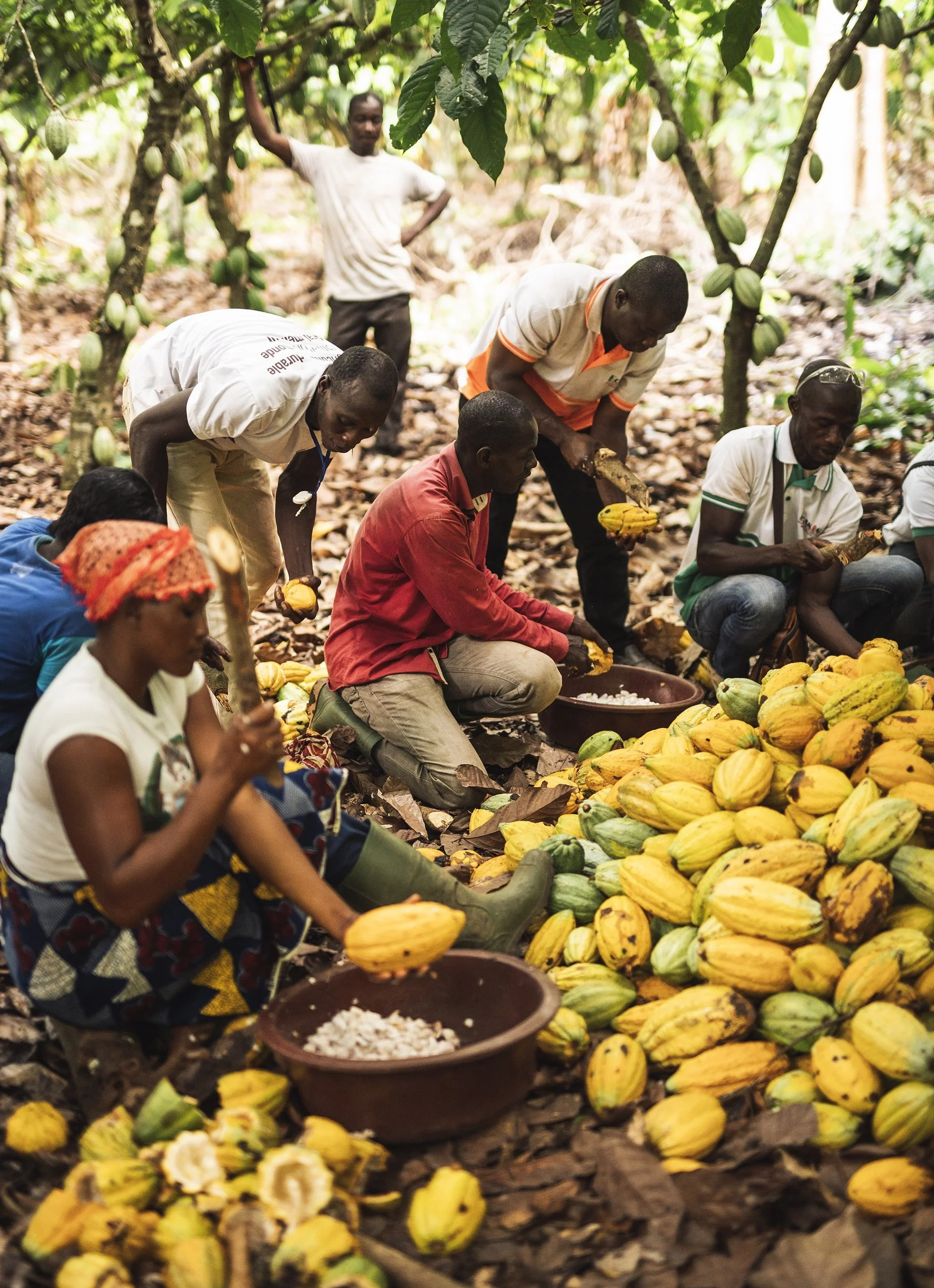 Fairtrade Stands with Farmers as Costs Increase