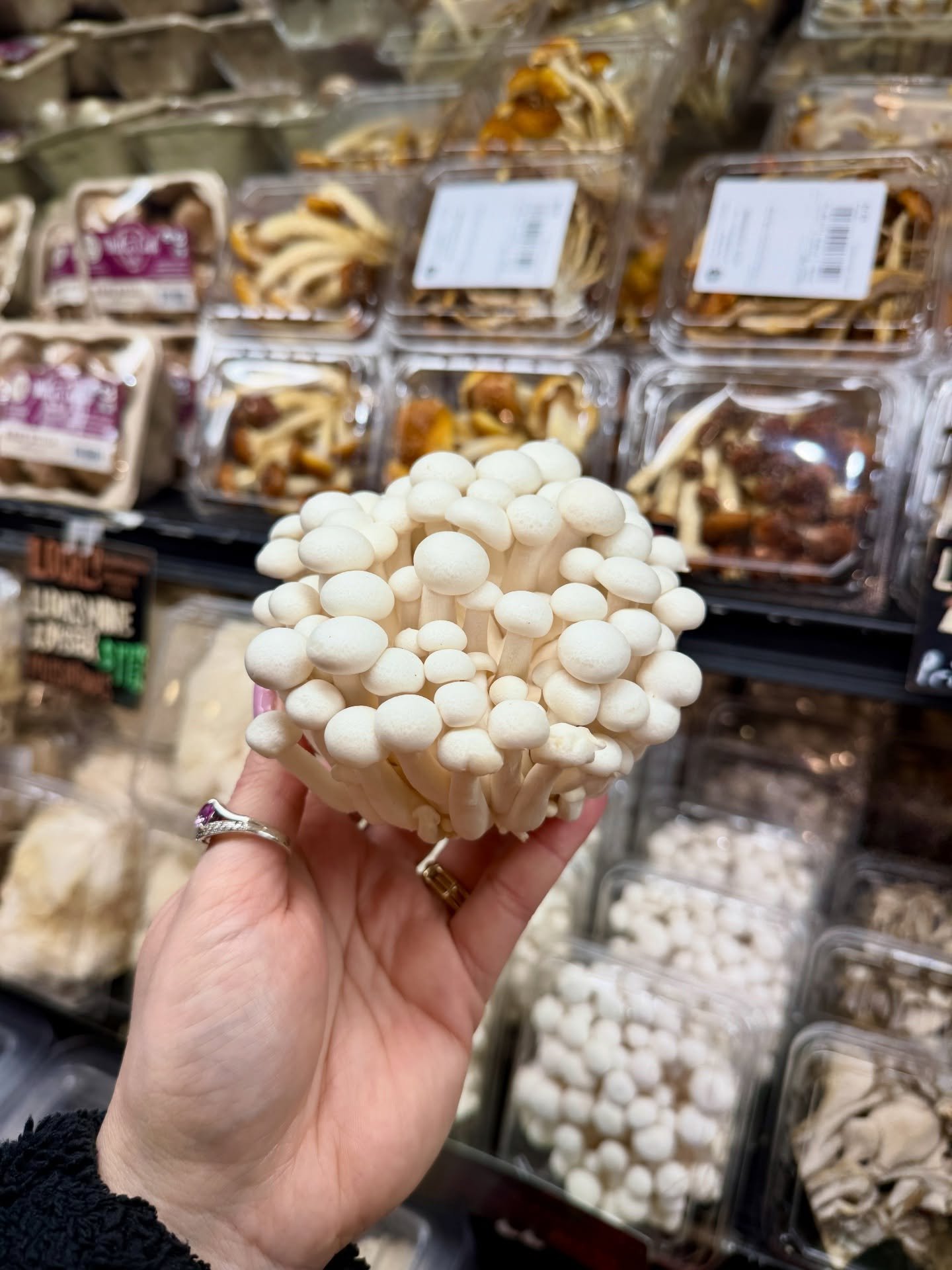 FirstLite Farm's White Beech Mushroom