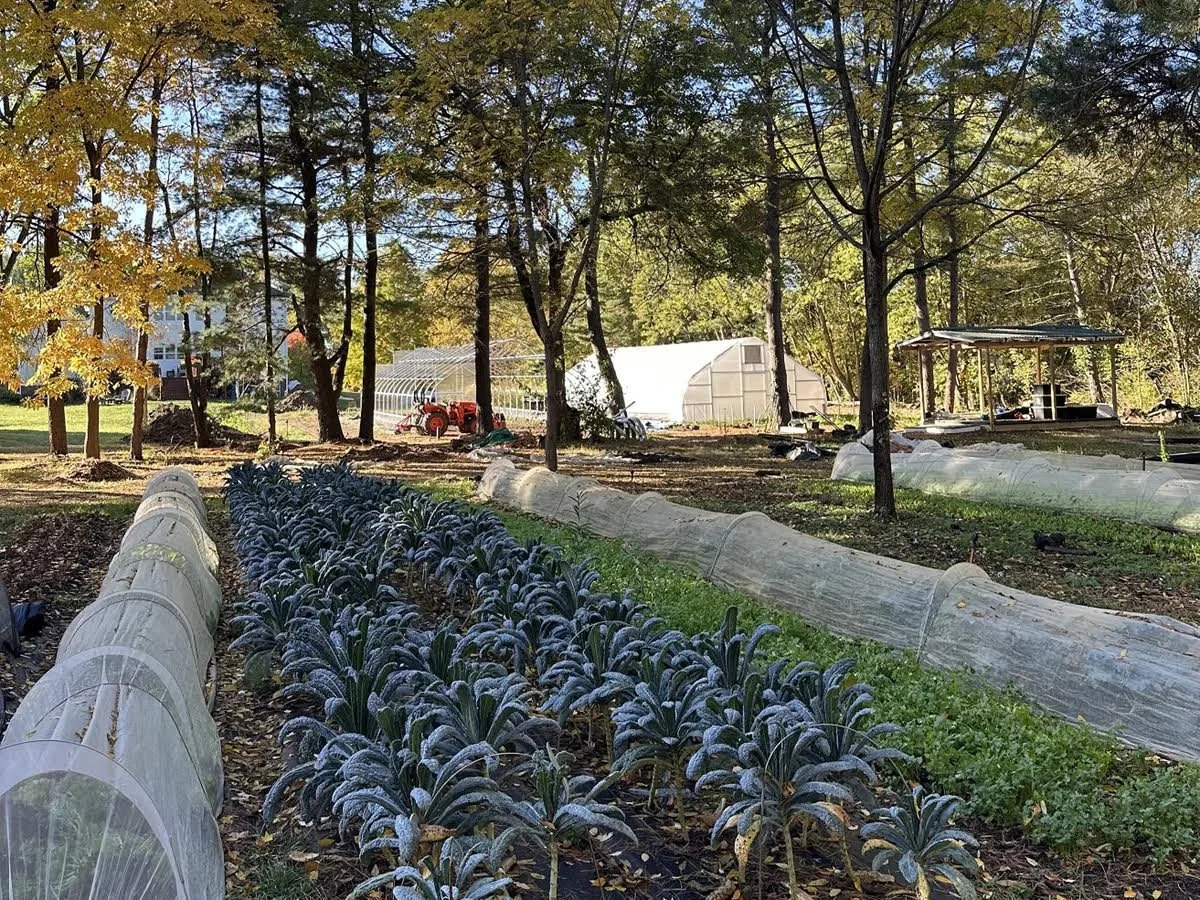 Copy of 1 - Sungate Farm main photo.jpg