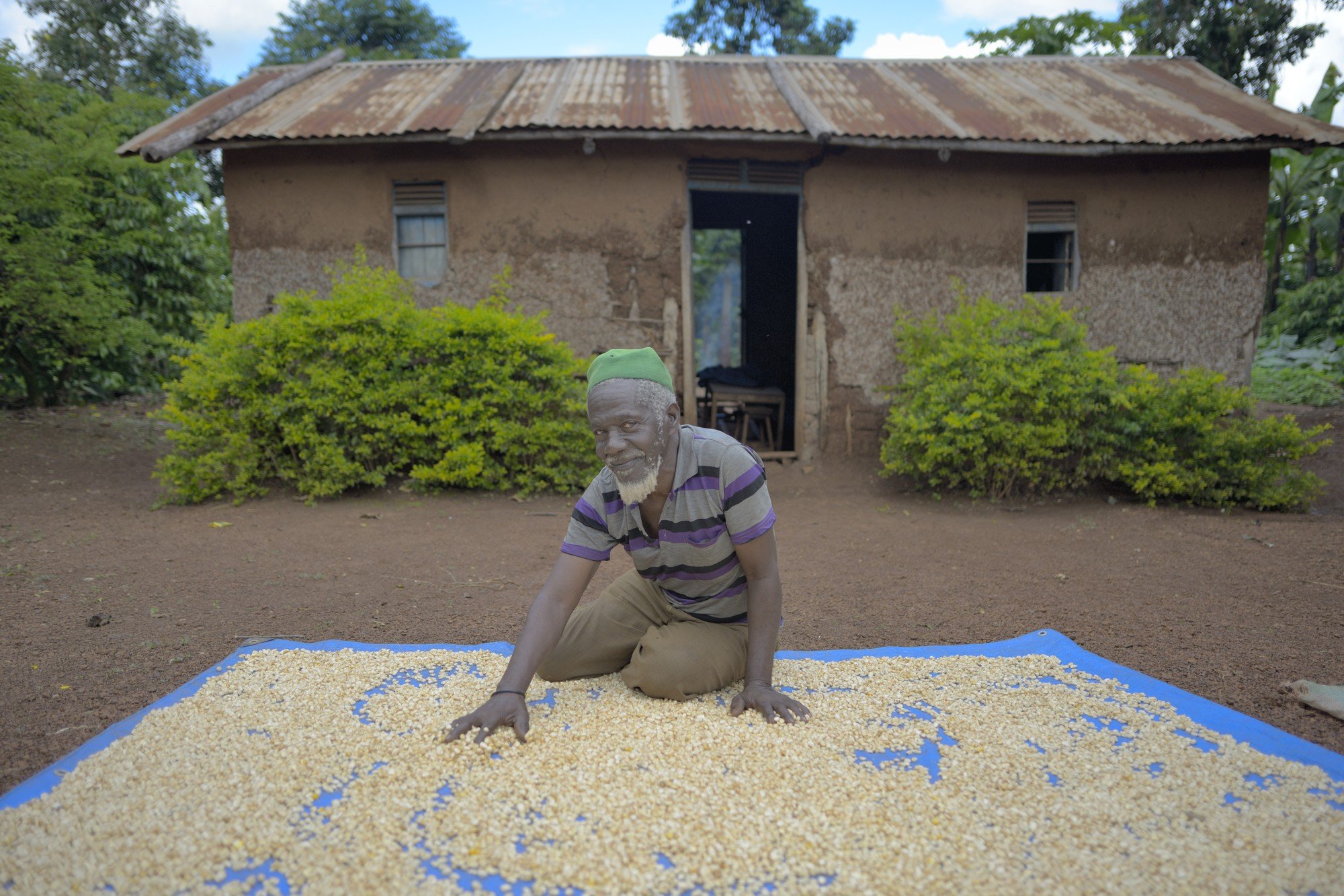 Osmane Badru processing coffee