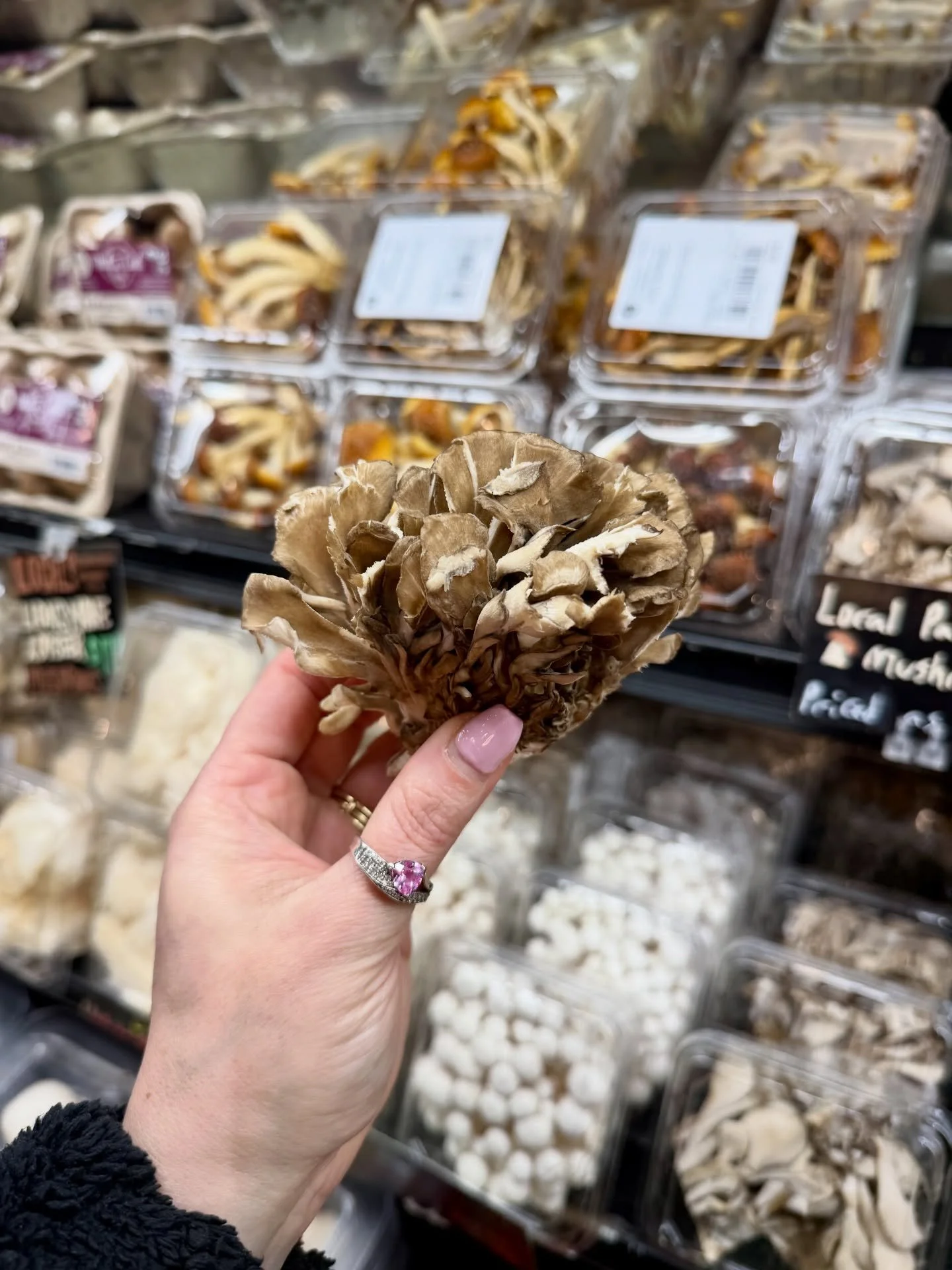 FirstLite Farm's Maitake Mushroom