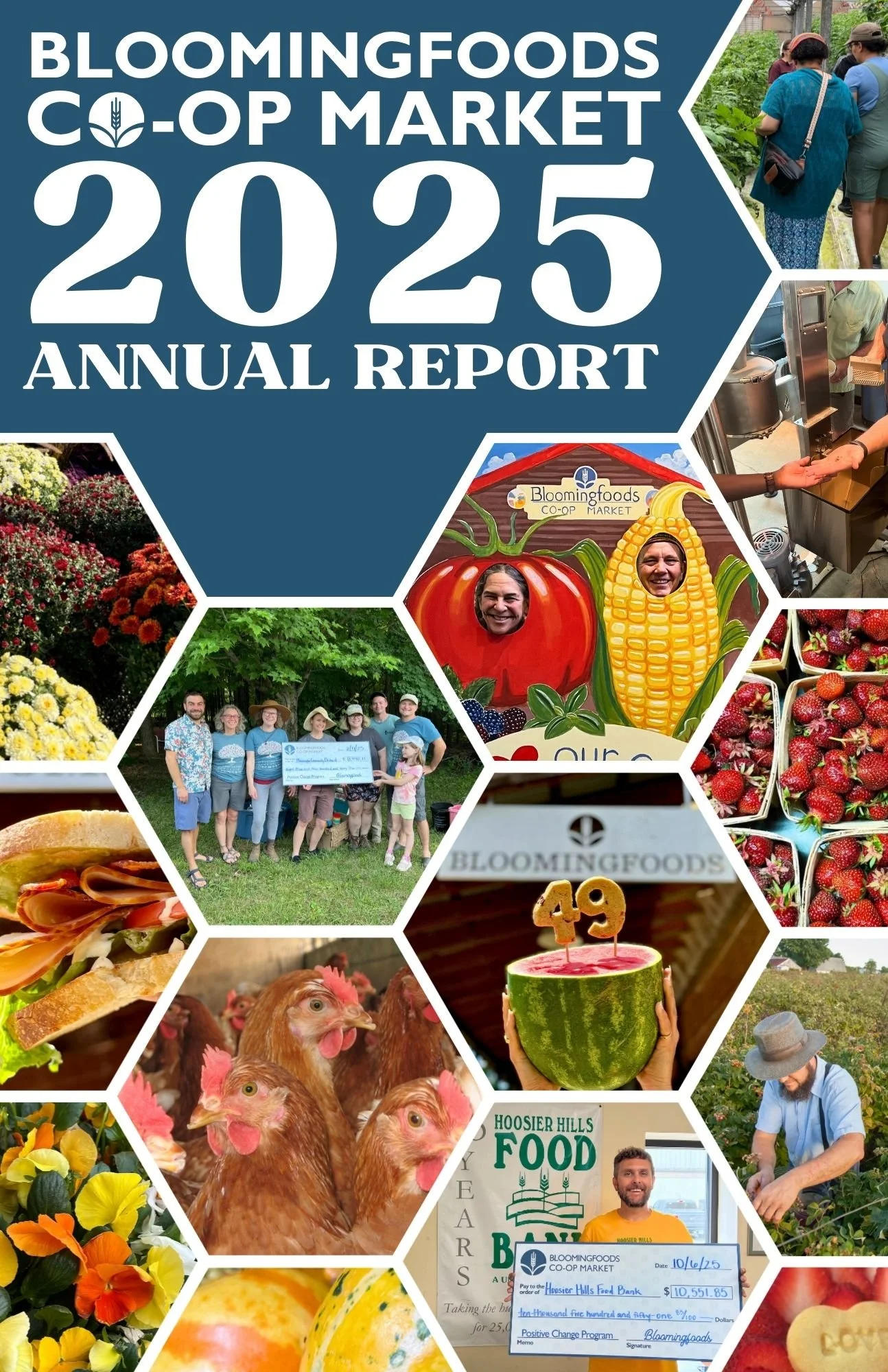 2025 Annual Report Cover - honeycomb photo frames with photos from the past fiscal year