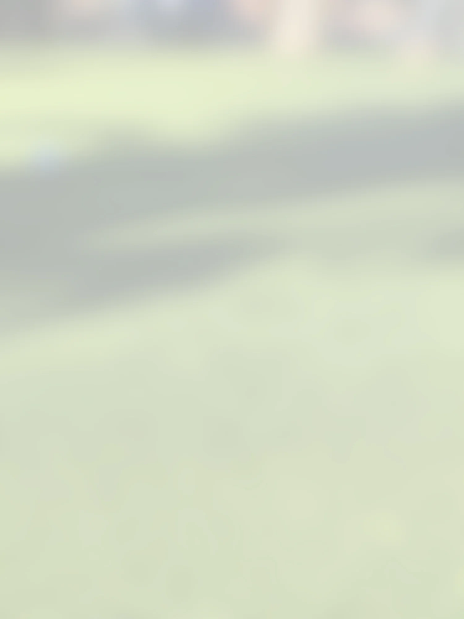 1500w blur 4.jpg