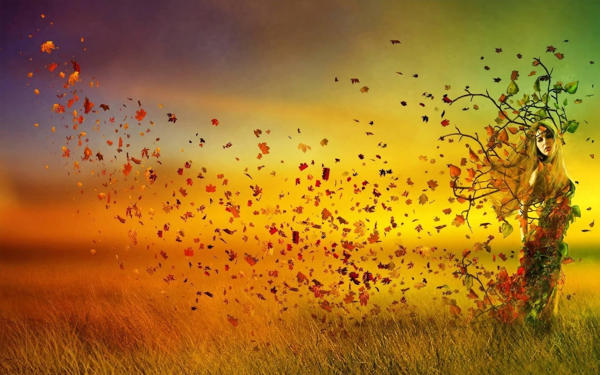 Autumn as a Classroom