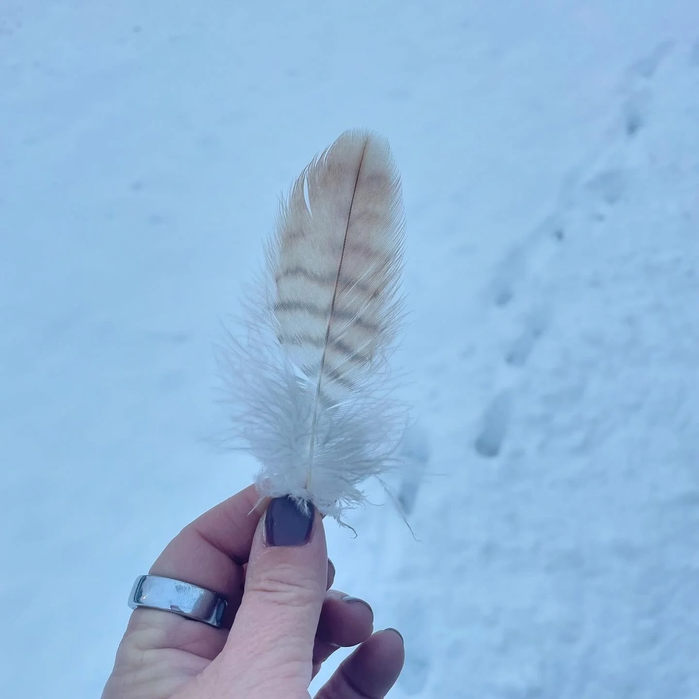 Today was an emotionally shitty day. Nothing in particular happened to make it shitty. Some days grief comes like a tsunami. Today was one of those days. When they happen, I try my best not to resist or put up a fight. Loneliness, overwhe