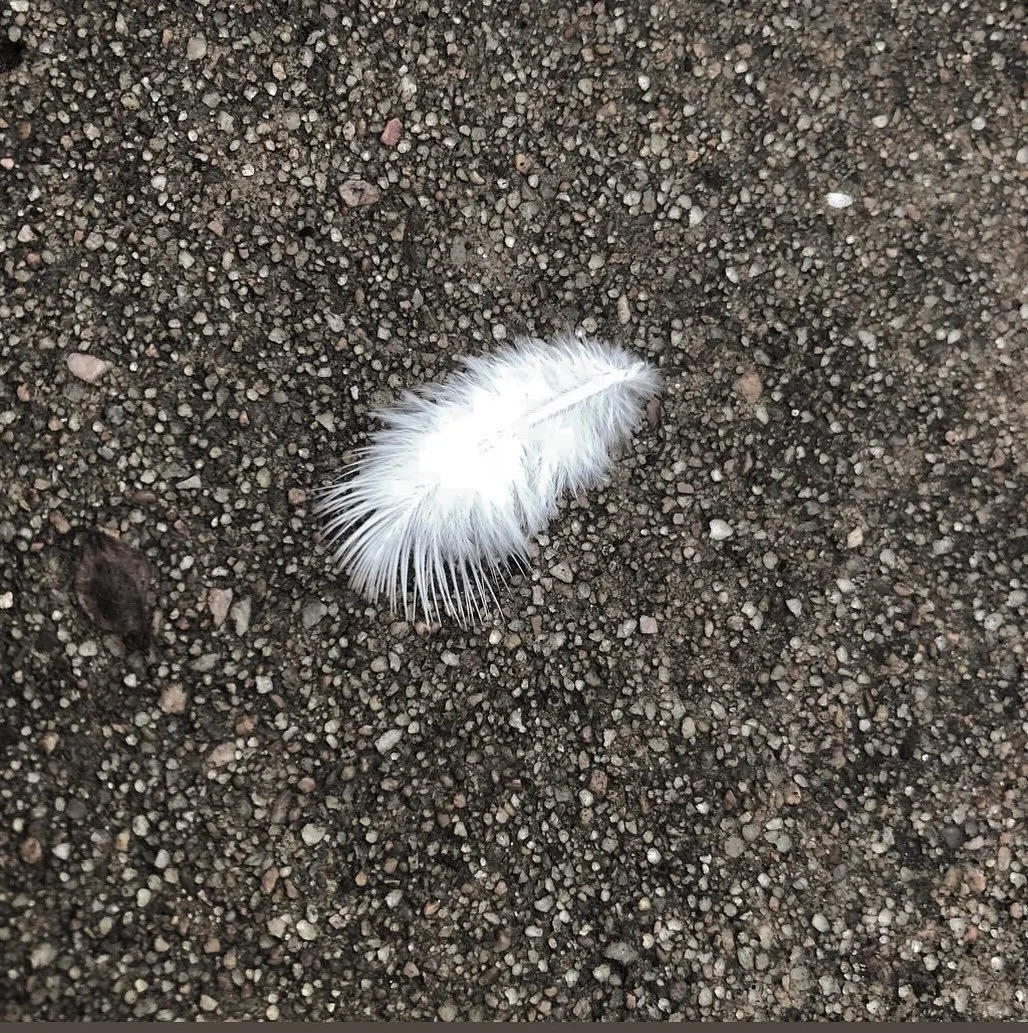 This poem found me this morning. It so perfectly matches how I have been feeling for so long now. Cracked me wide open to connect with the very core of my sorrow. 

My Sweet, Crushed Angel Hafiz

You have not danced so badly, my dear, trying to hold 