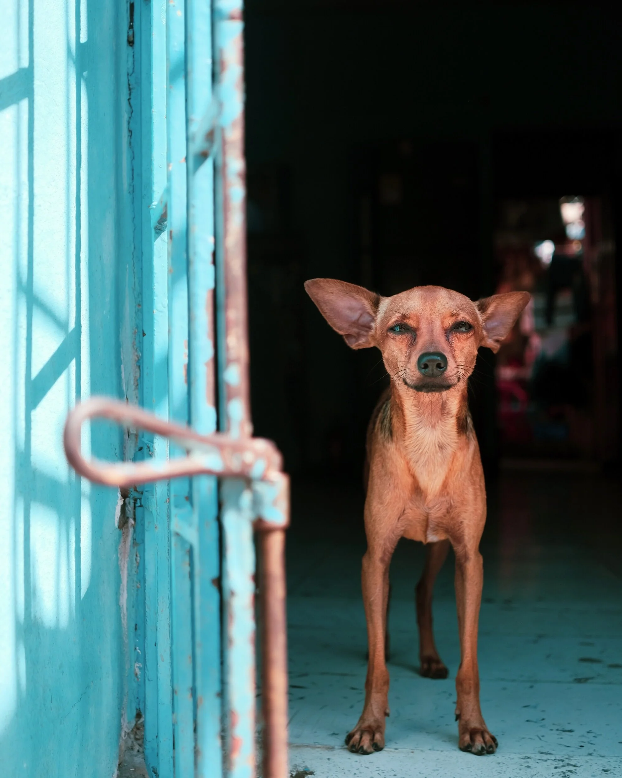 0DCB5B47-7684-453F-9FF1-6CE4FDC97F77