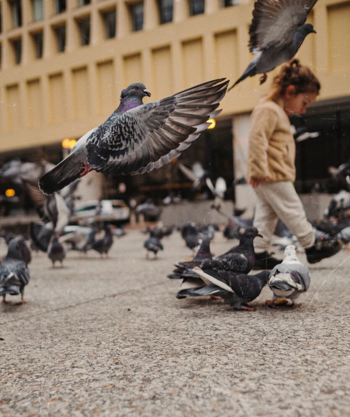 4D6AD182-21A5-4F42-AD6A-EBF7D33467FC