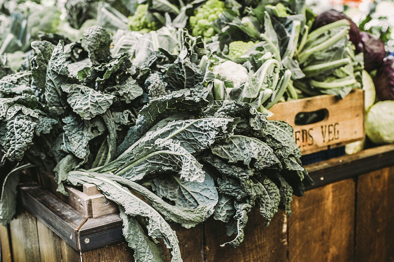 Lacinato kale