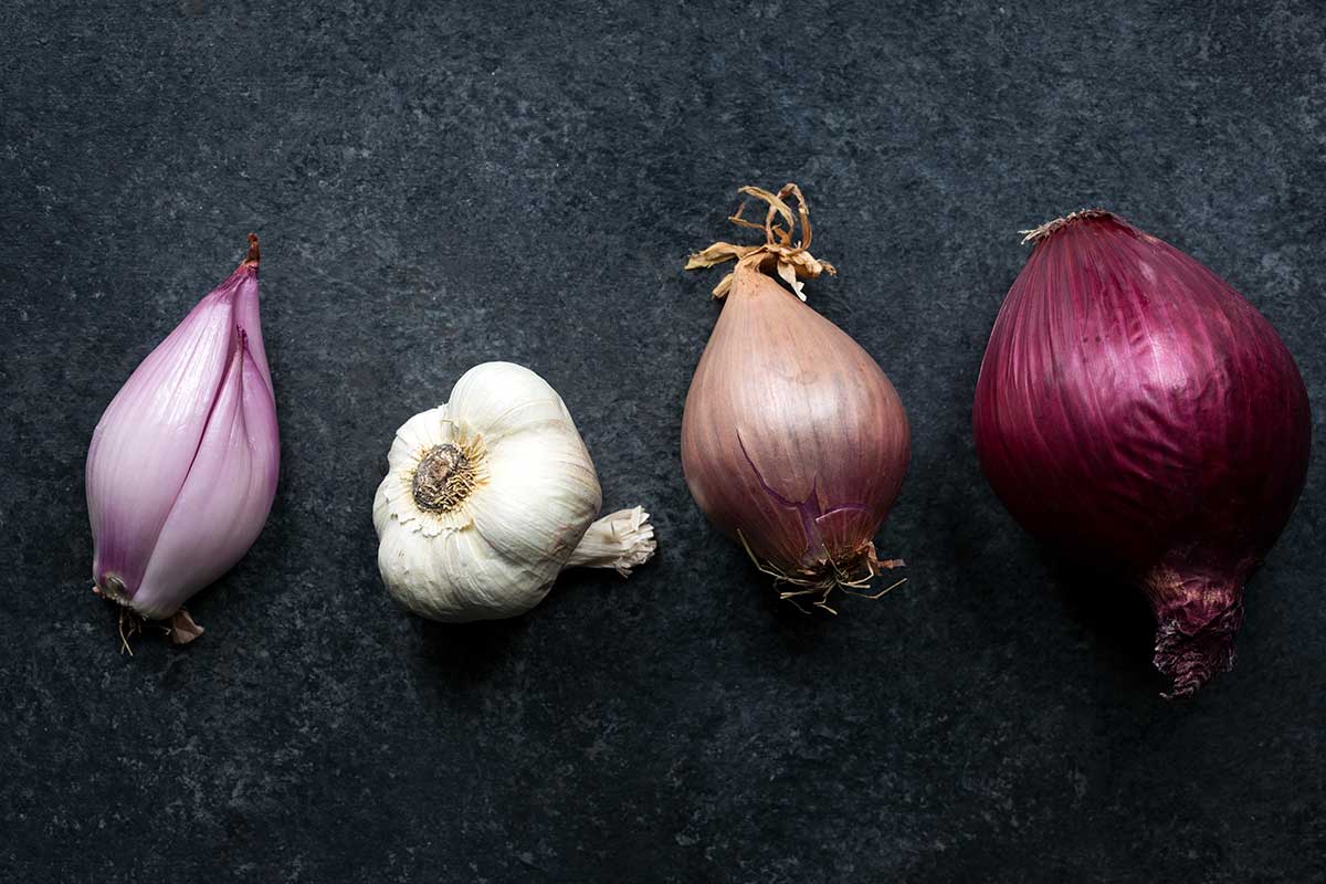 A head of garlic, a shallot, and a red onion for comparison. Credit: savory simple Above: slow-roasted shallots from bon Appetit