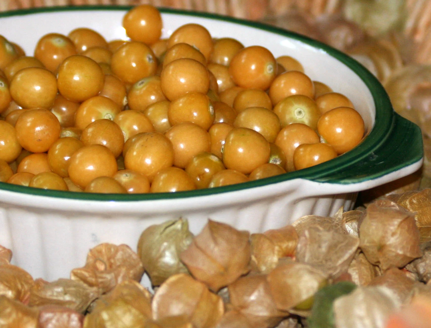 Cossack pineapple ground cherry from southern exposure seed Exchange