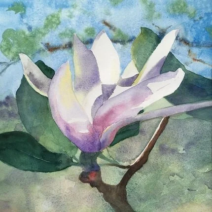 Magnolia watercolor by Heide Hallemeier.