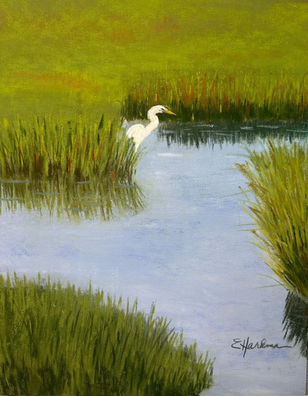 artist-elainehardman5.jpg