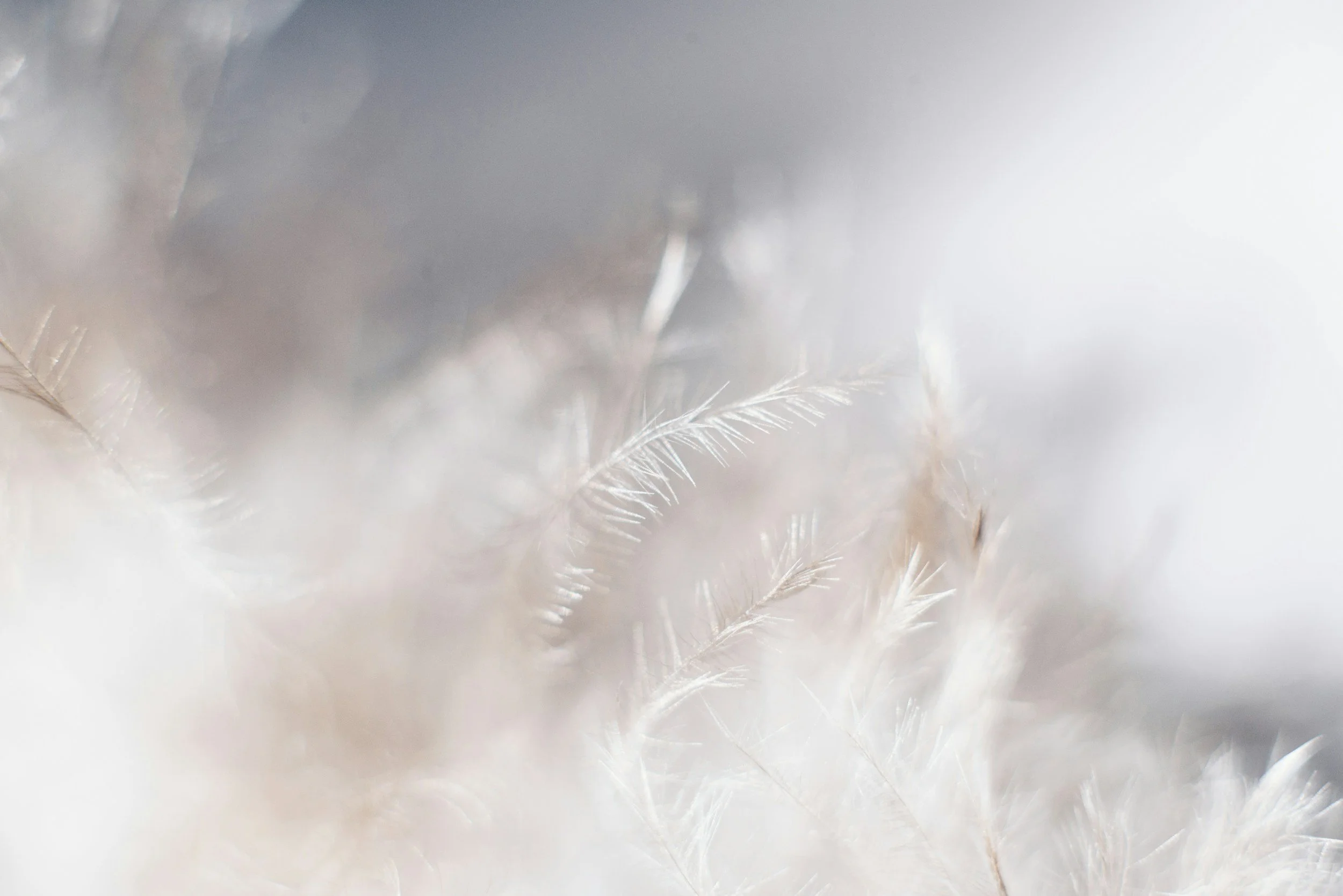 unsplash-image-Sw7f58YJbc0.jpg