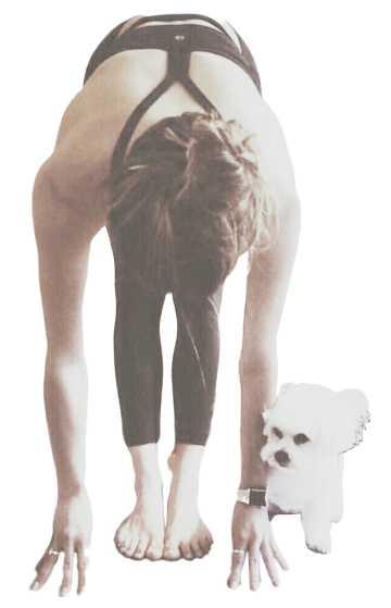 hannah-4-sat.png