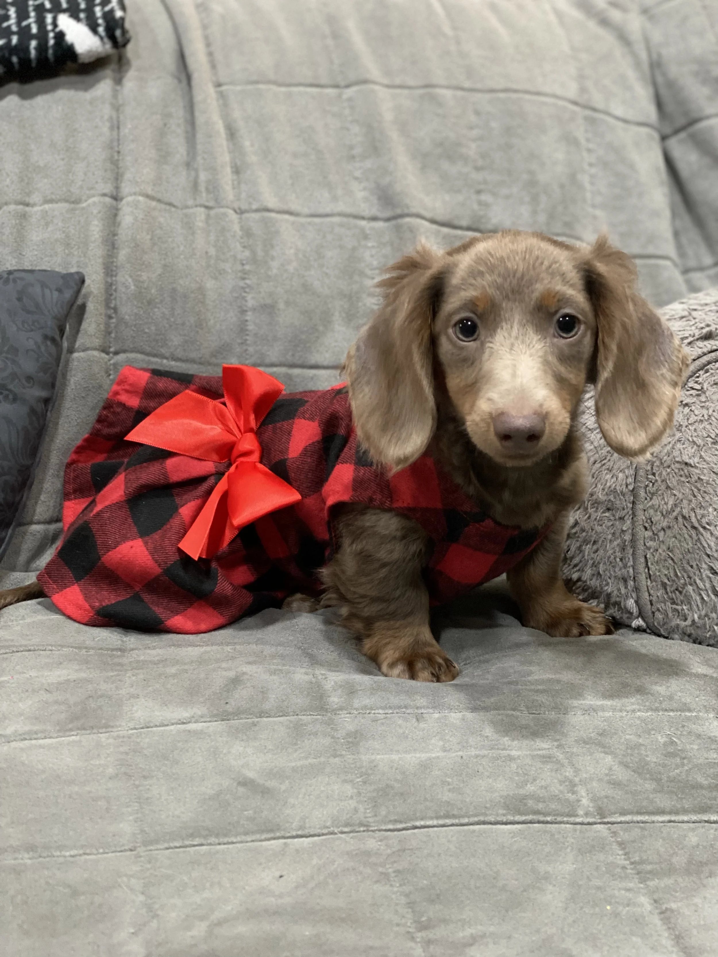 B58013A6-8536-4782-A894-69F1487FBE0E (1).jpeg