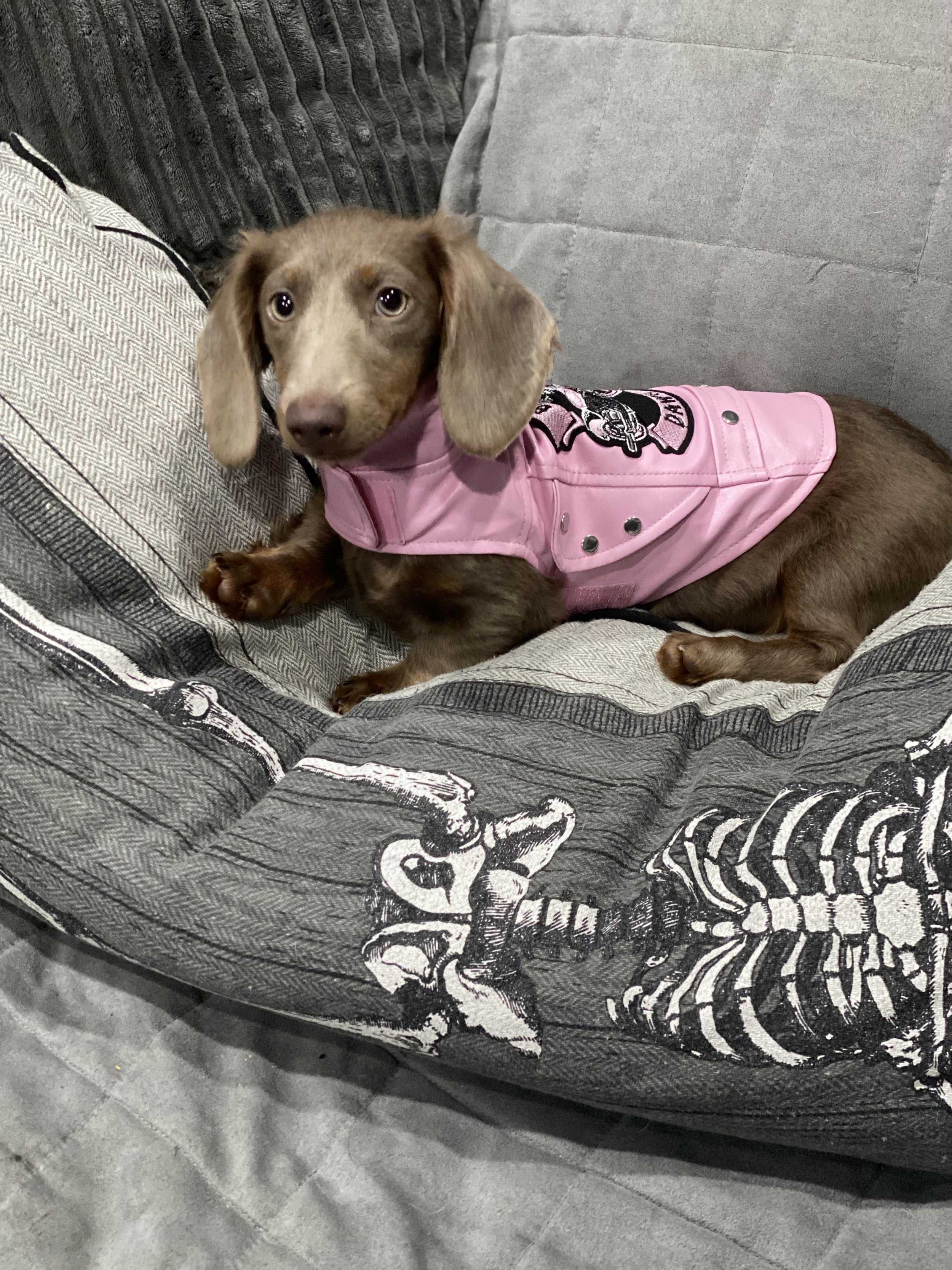 D5284248-D9D4-4FF1-89BC-7A1ACC9B0A26 (1).jpeg