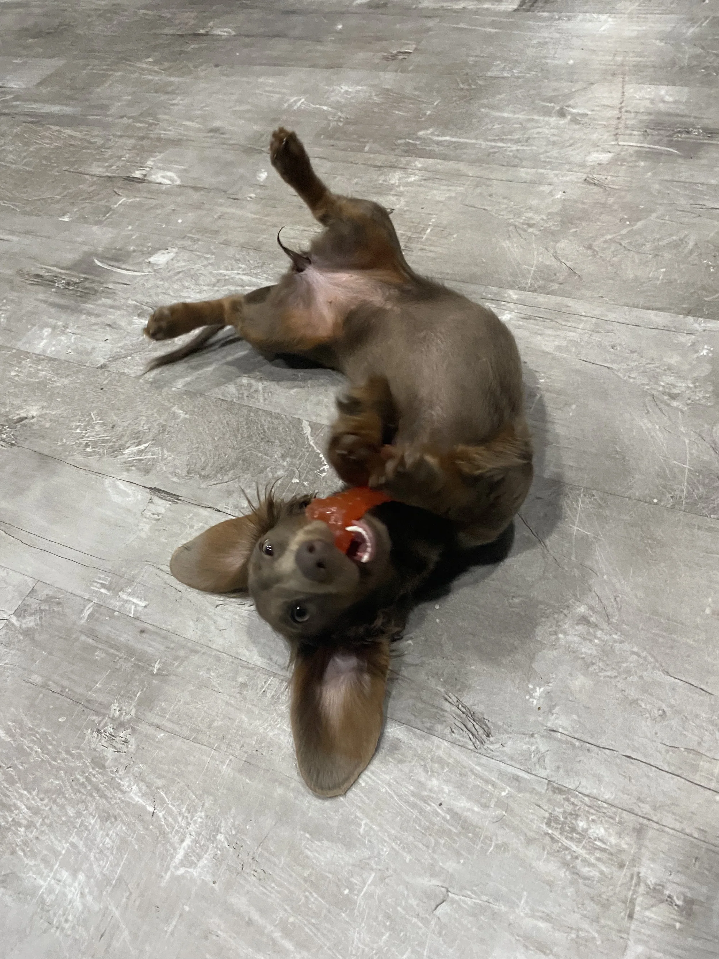 B6E07CEC-4CE7-47A0-80B2-9D2BB3C4FD37 (1).jpeg