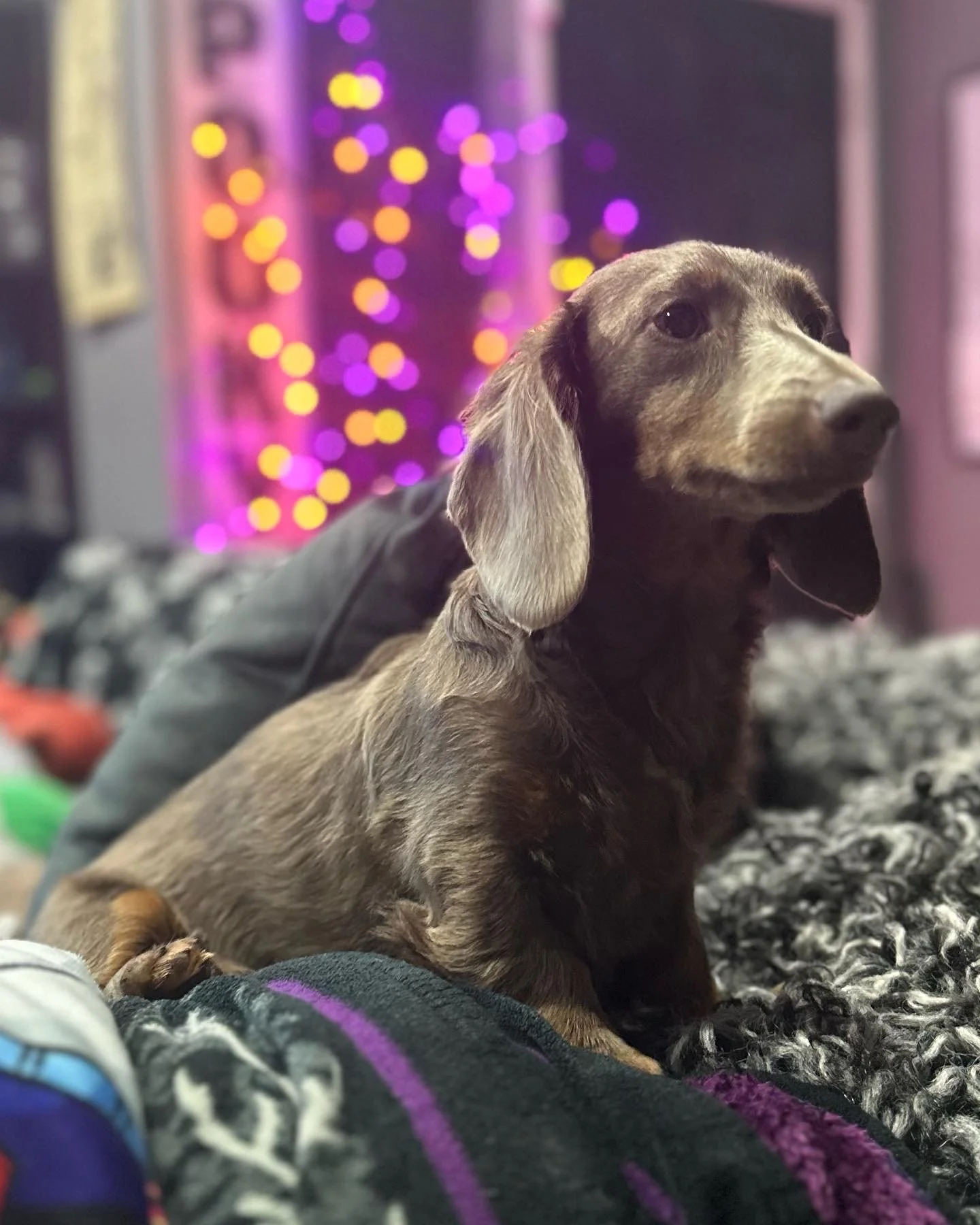 97D62A0A-DA9C-4B97-9185-34AC757B9ACF (1).jpeg