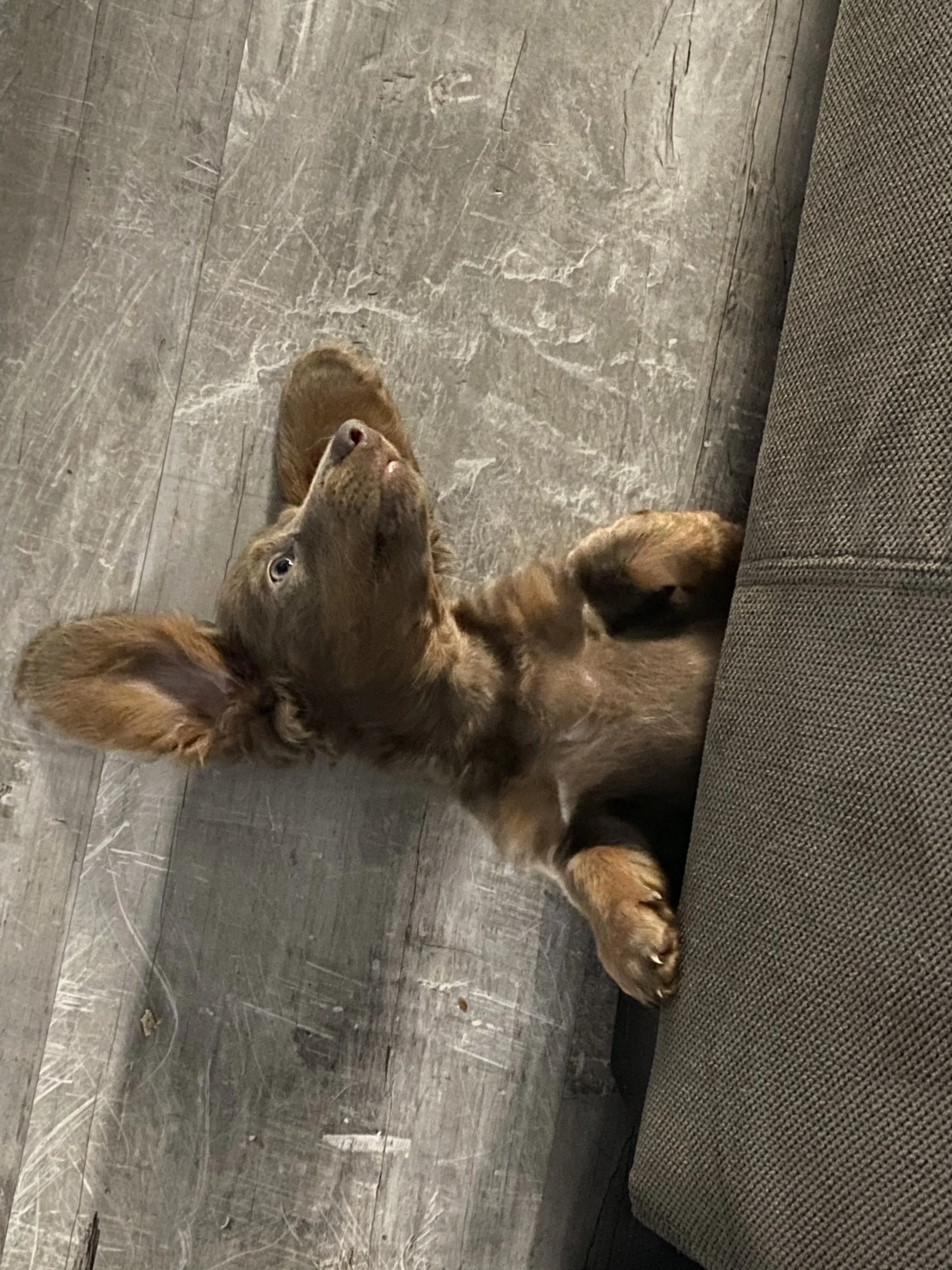 99C3BE4D-B5E4-4354-92F7-329AC572FB88 (1).jpeg