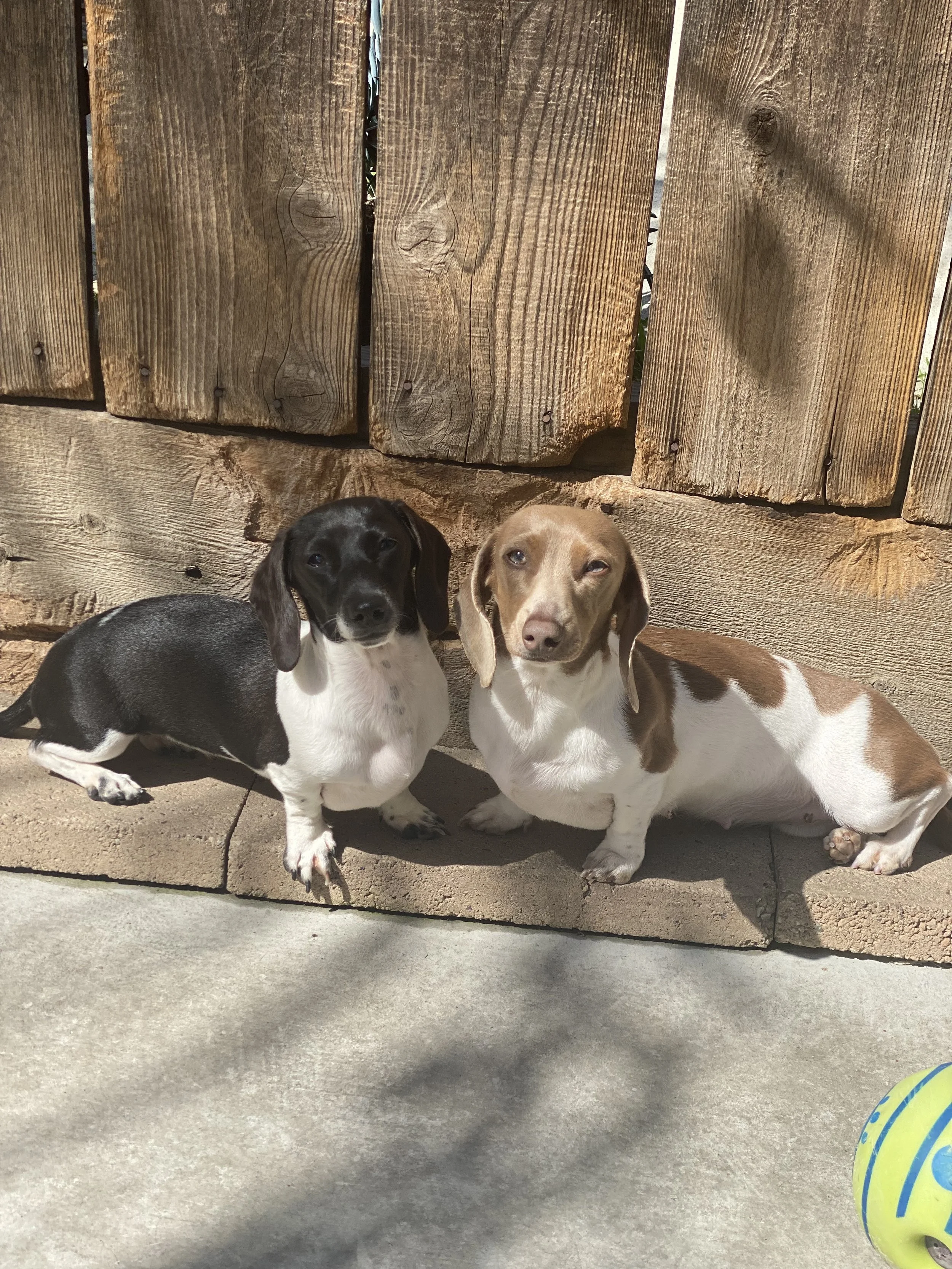 C6AF1420-8E75-4A29-AEED-924F0443EE65 (1).jpeg