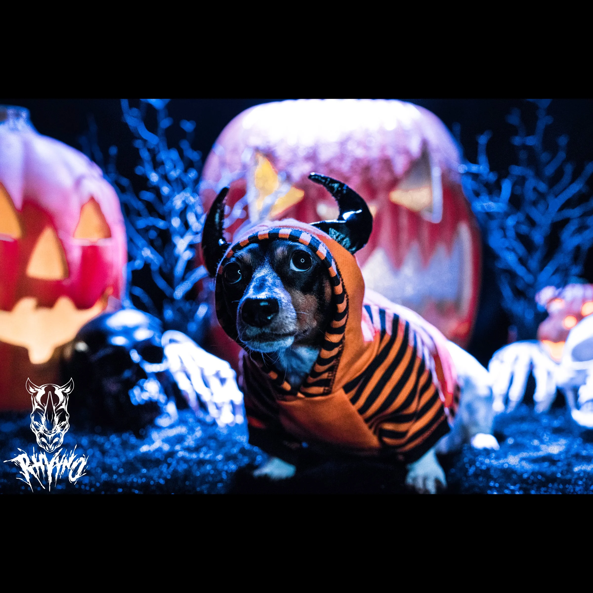 1DE03DD6-9D06-49F4-B650-E5ADB19C3810 (1).jpeg