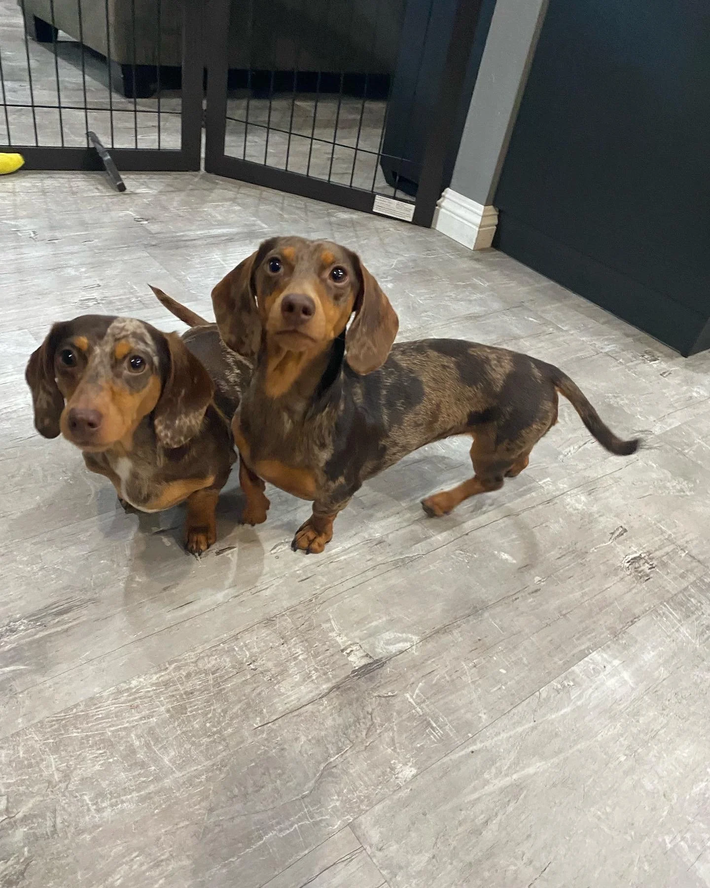 0BC2B56D-309E-44DD-A9C0-F740A6EA880D (1).jpeg