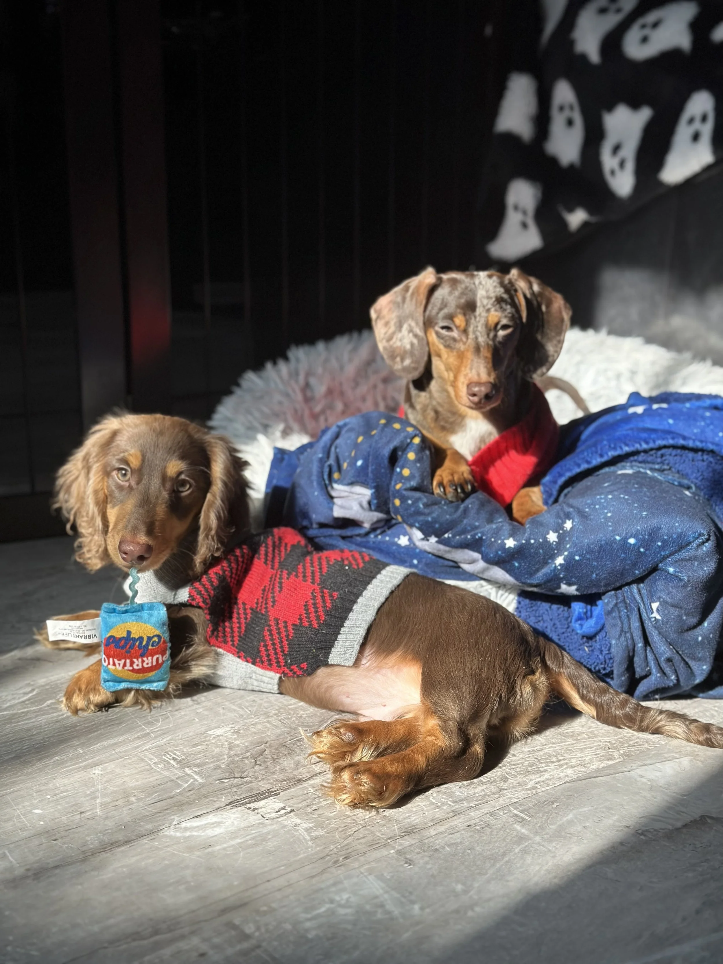 AF17C581-3AB8-4930-9B05-F1EF5233D2CA (2).jpeg