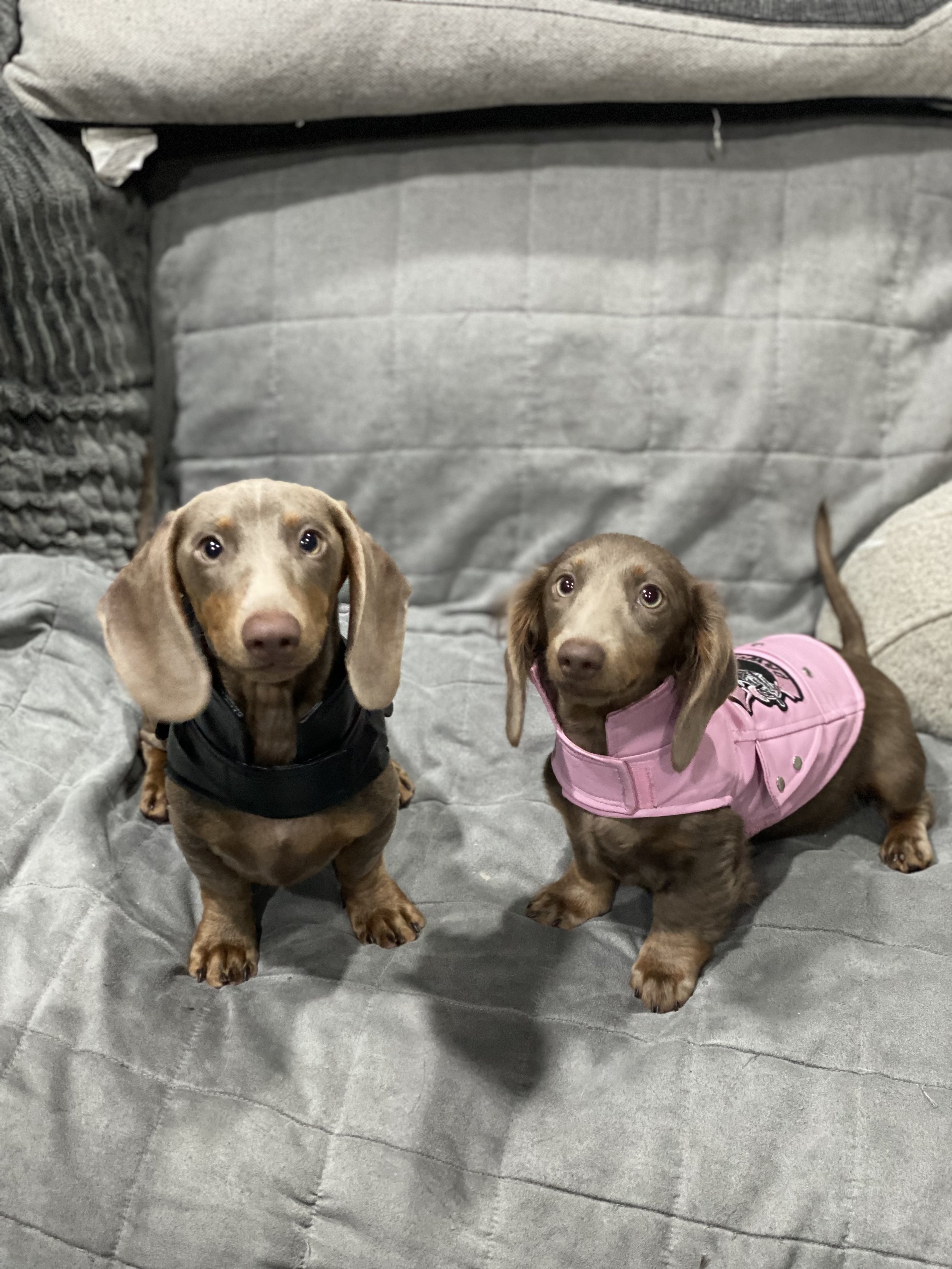 AEA5B22F-E664-425C-BD59-7B2D50720236 (1).jpeg