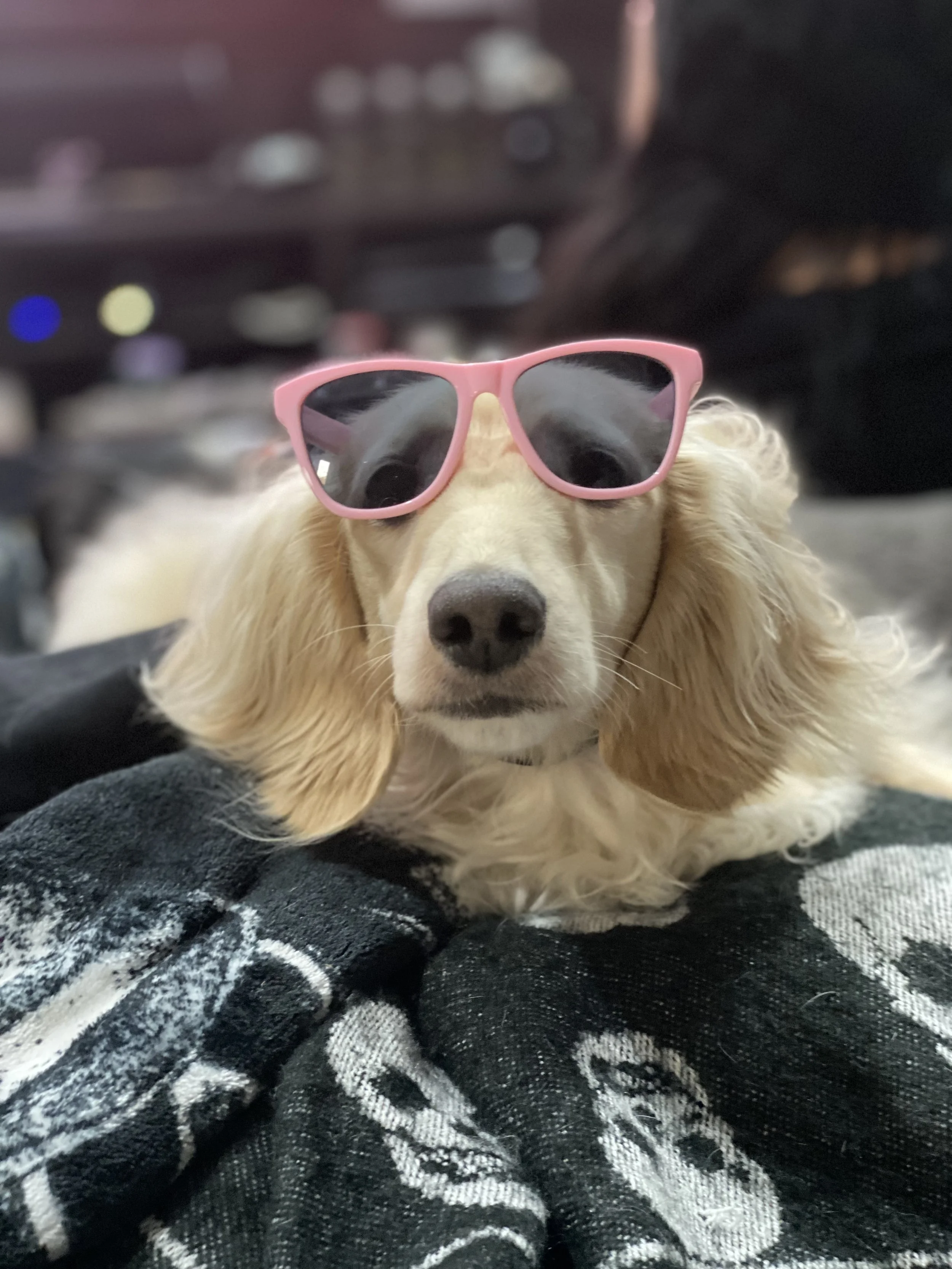 CD4685C9-061F-4257-A571-1F88446D8732 (1).jpeg