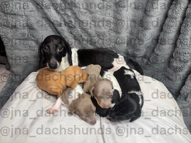 Untitled_Artwork 1.JPG