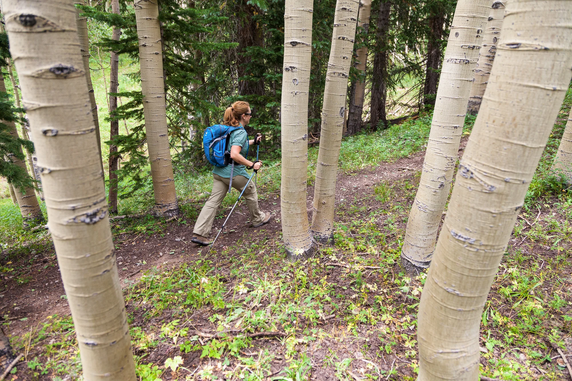 Hiker Framed by Aspen Trees.jpg