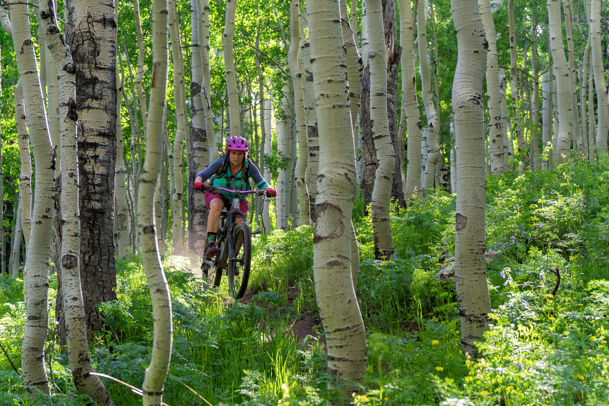 Melissa Edge Threading Aspen Trees on Burl Friends Trailt.jpg