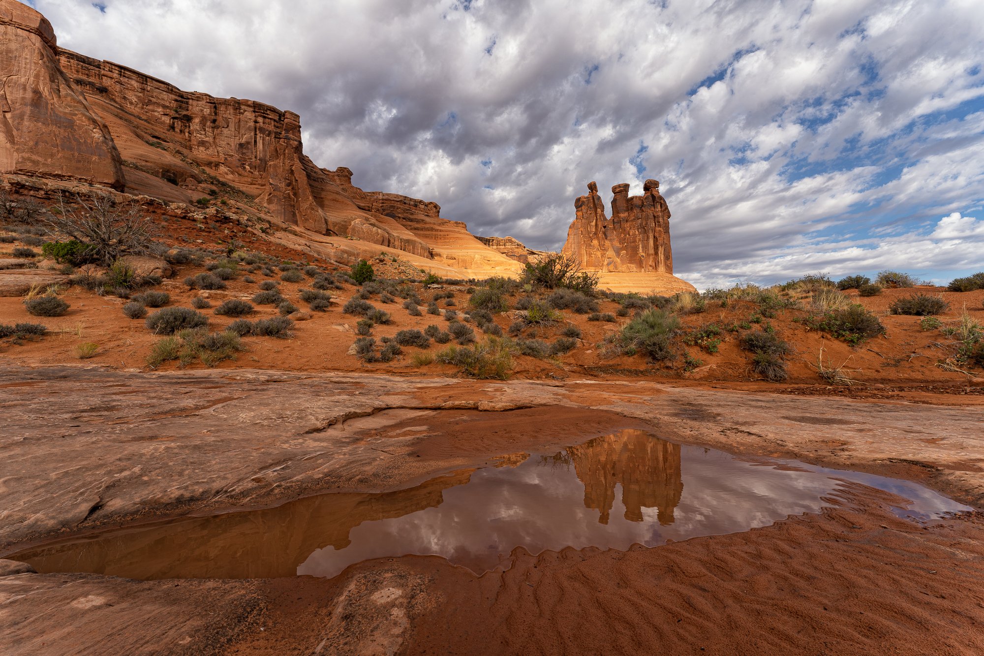 Three Gossips Reflecting in Park Avenue Potholet.jpg