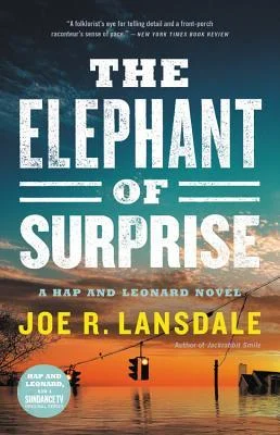 The elephant of surprise