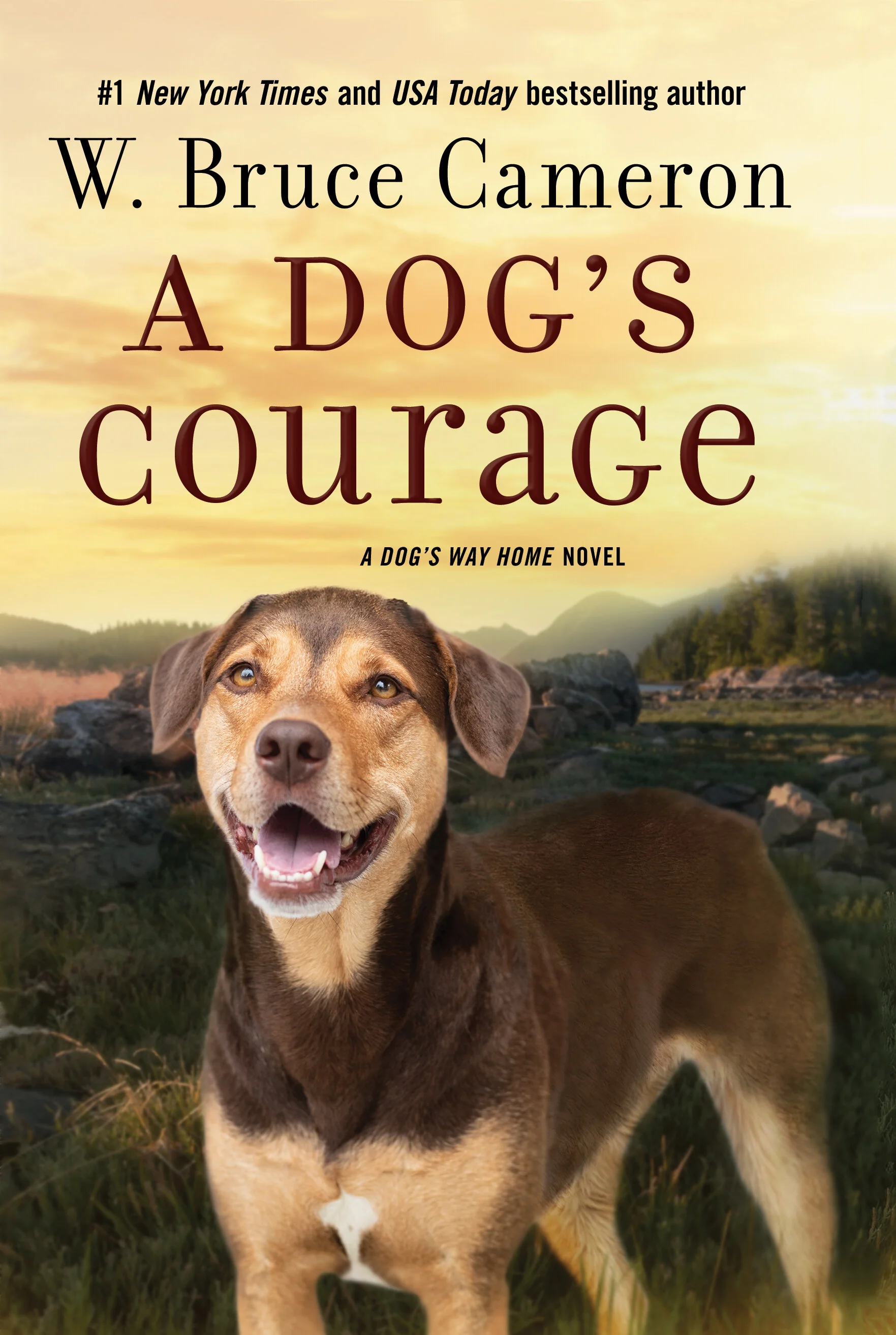 A dog's courage