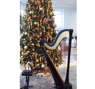Seasonal Sounds