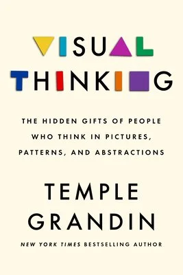 Visual Thinking