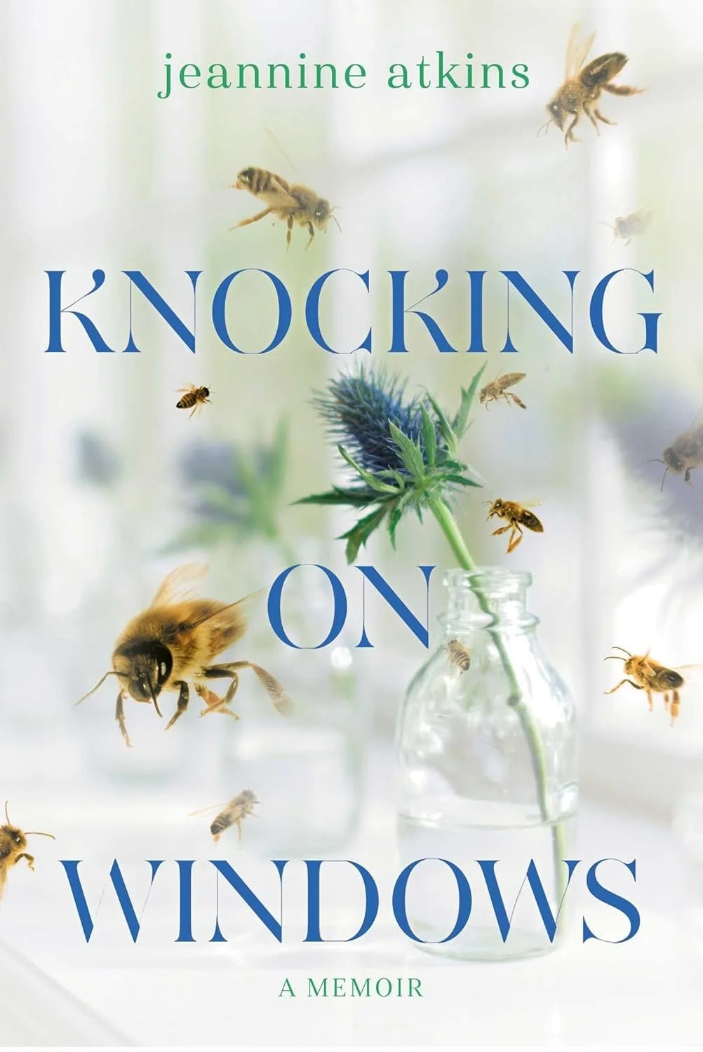 Knocking on Windows