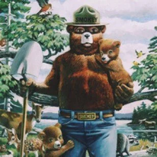 Smokey Bear Visits the Library