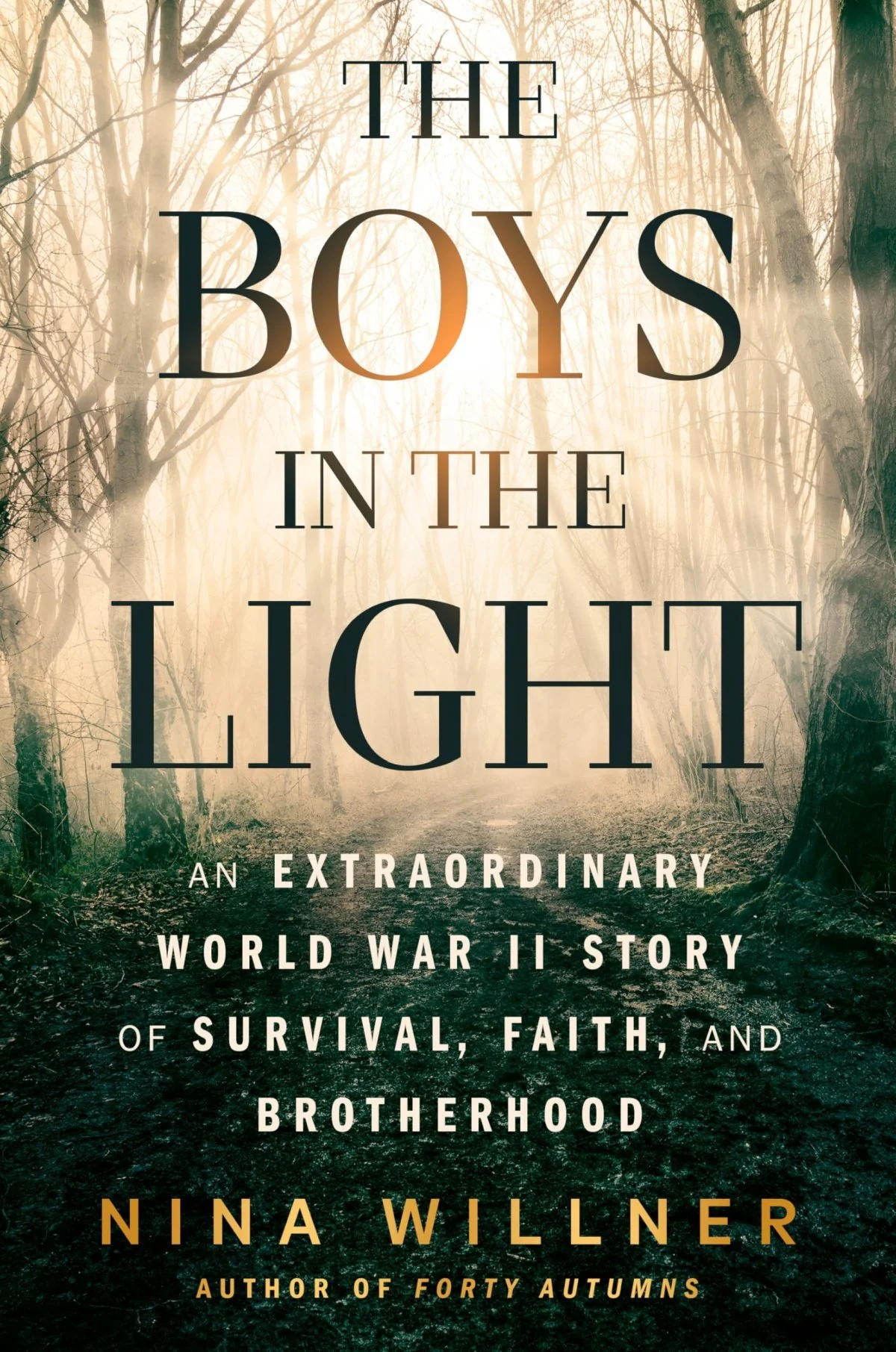 Boys in the Light