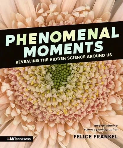 Phenomenal Moments