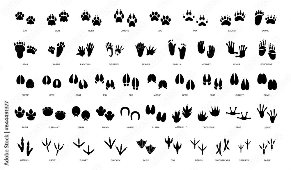 Plaster Prints & Paws