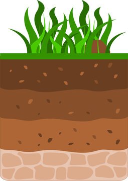 The Dirt on Soil