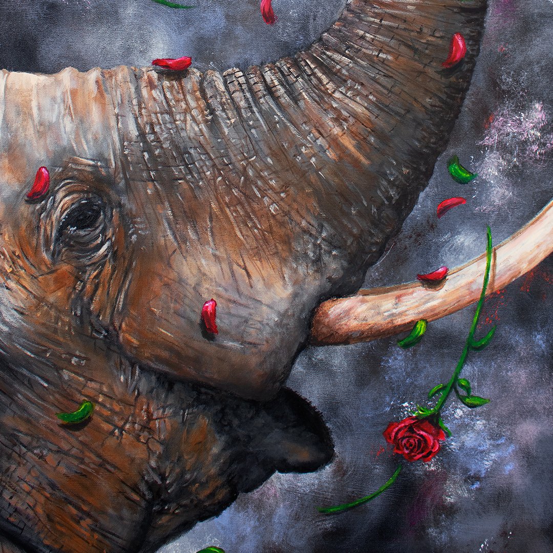 Elephant_Close Up.jpg