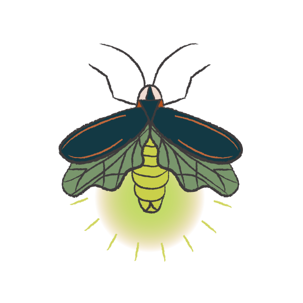 Firefly Scout Color Firefly.png