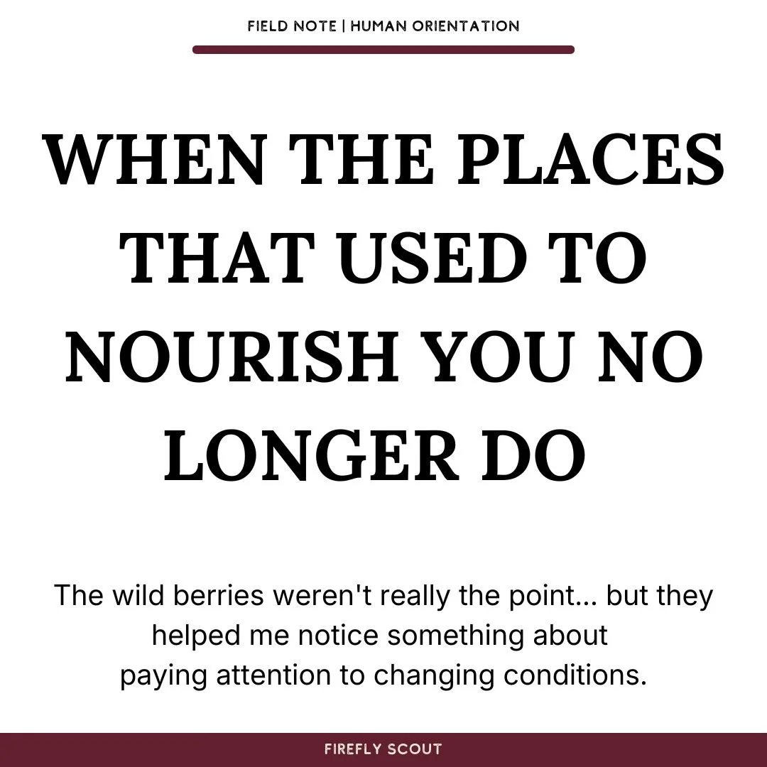 When the Places That Used to Nourish You No Longer Do