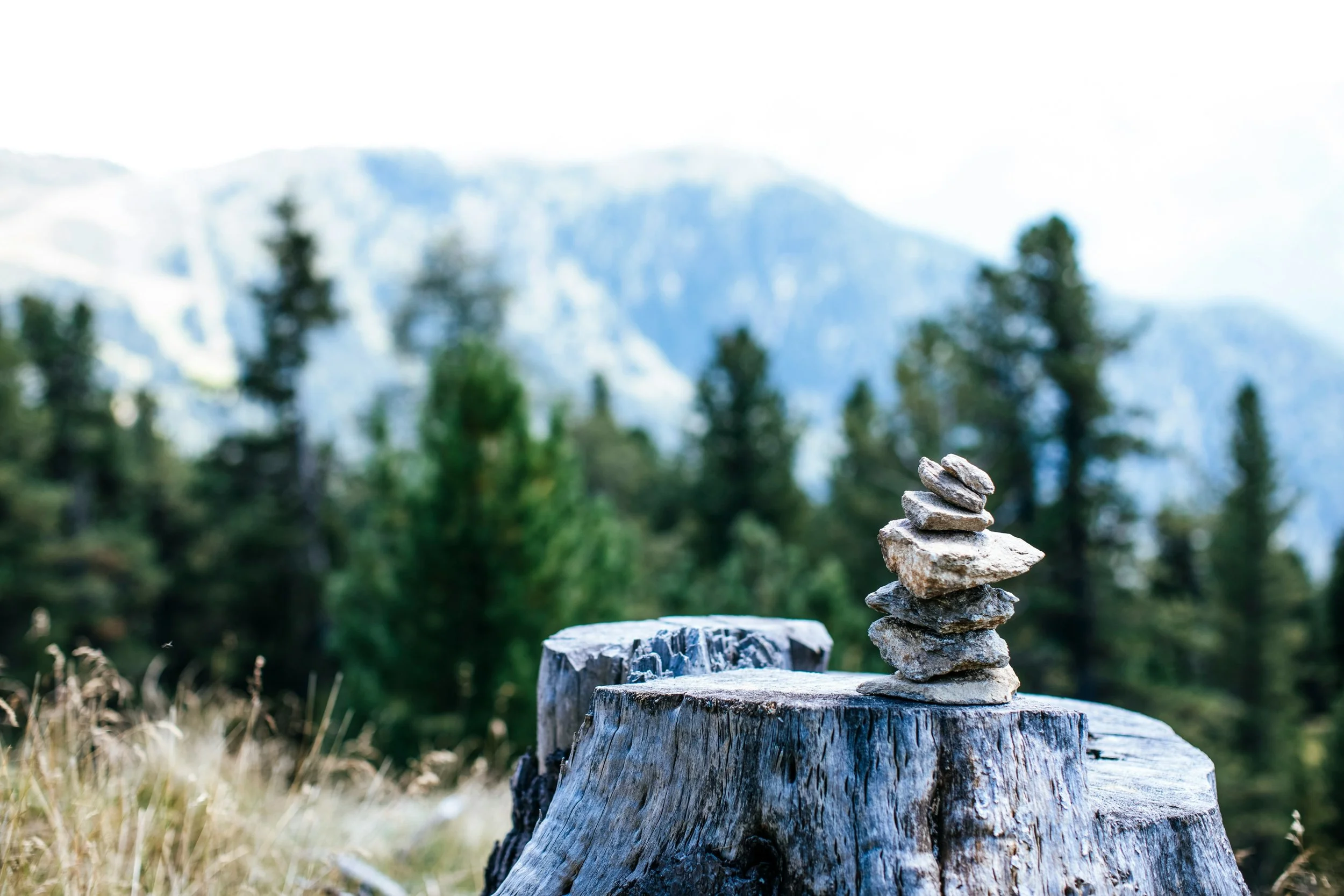 Stack of small rocks balanced on a tree stump in a forest with mountains in the background.