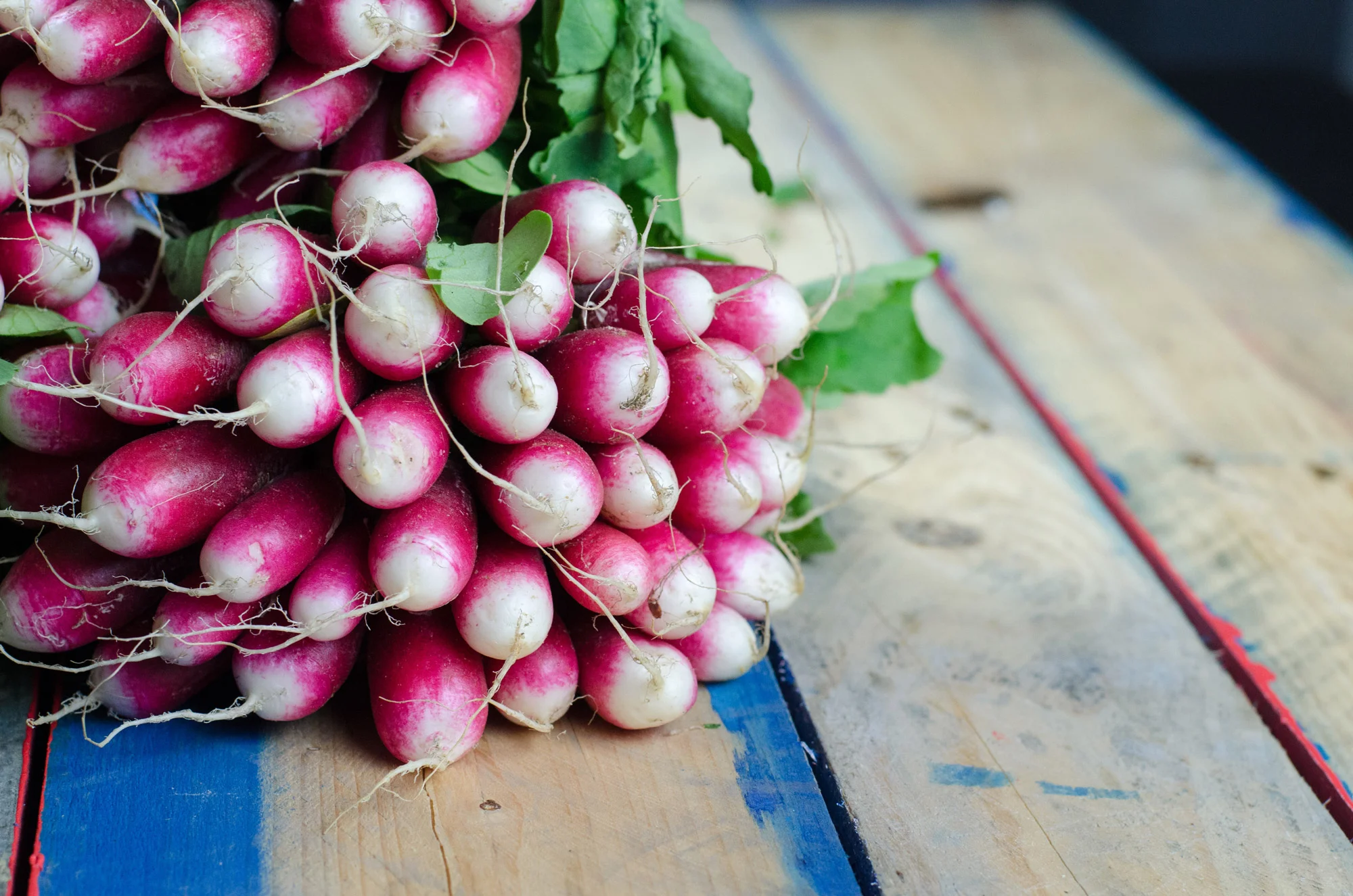 radishes.jpg